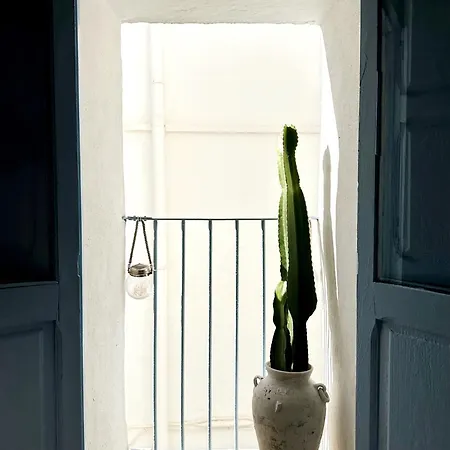 Casa Blava, Casco Antiguo De Holiday home *